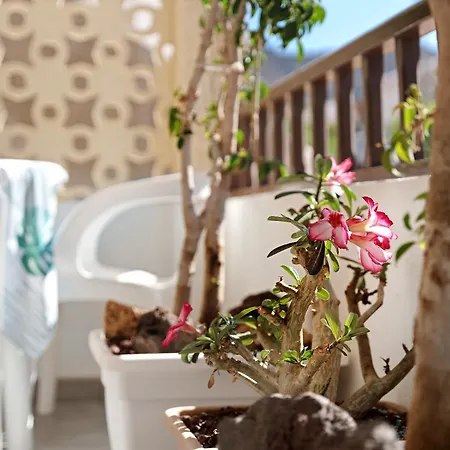 Preciosos Miraverde Piscina Lägenhet